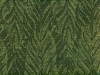 rain-forest