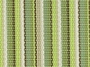 stripe-kiwi